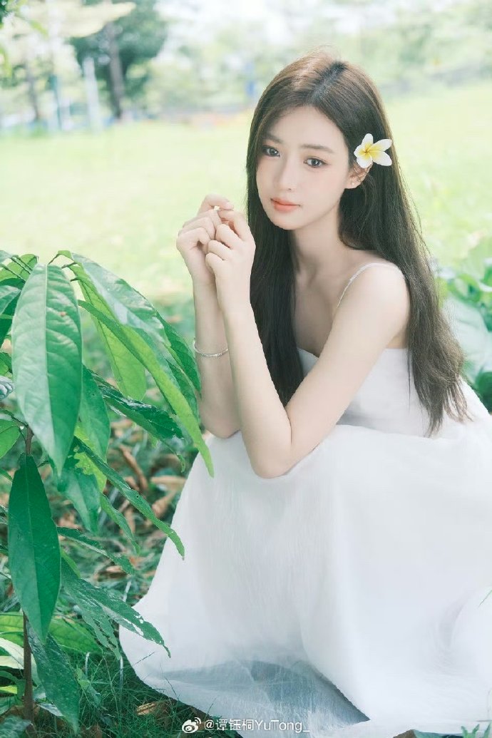 枪火